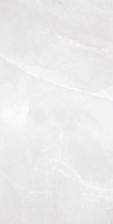 BLUE JASTO LIGHT POLISHED 24x48