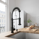 EDISON PULL-OUT DUAL SPRAY KITCHEN FAUCET