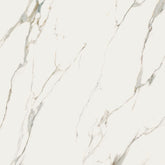 SENSI CALACATTA MICHELANGELO 24x48