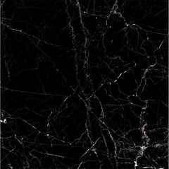 GRAFITO BLACK POLISHED 24x24