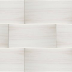 Dolomite Porcelain Tile 24x48