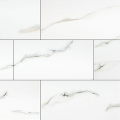 ARIA BIANCO Polished 24X48