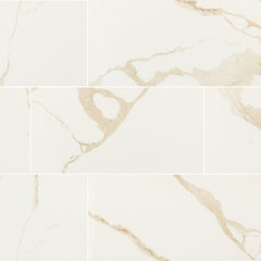 EDEN CALACATTA 24X48