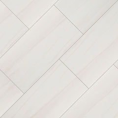 EDEN DOLOMITE 24x48