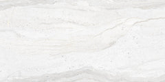 DYNA ROYAL POLISHED 12x24