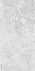 CIANA GREY POLISHED 24x48
