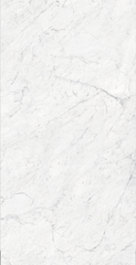 GIOLA SILVER POLISHED 32x64