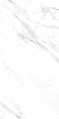 COLISEO BIANCO POLISHED 32x64