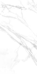 COLISEO BIANCO POLISHED 32x64