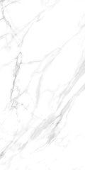 COLISEO BIANCO POLISHED 32x64