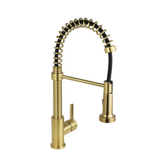 EDISON PULL-OUT DUAL SPRAY KITCHEN FAUCET
