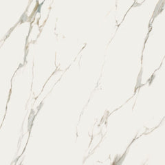 SENSI CALACATTA MICHELANGELO 24x48