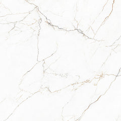 SEGESTA CARAMEL 12x24