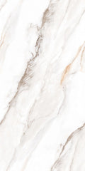 Senso White 24x48