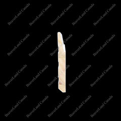 B5-H-WS STEP-BEVELED PRIMED WHITE PINE WOOD 5-1/2”*1/2"