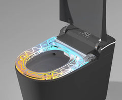 T9013B SMART TOILET - BLACK