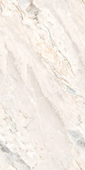 Argenta 24x48