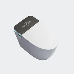 T9005 SMART TOILET