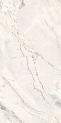 Argenta 24x48