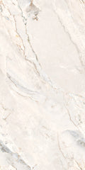 Argenta 24x48