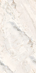 Argenta 24x48
