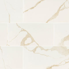 EDEN CALACATTA 24X48