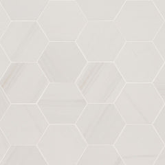 EDEN DOLOMITE 24x48