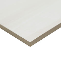 EDEN DOLOMITE 24x48